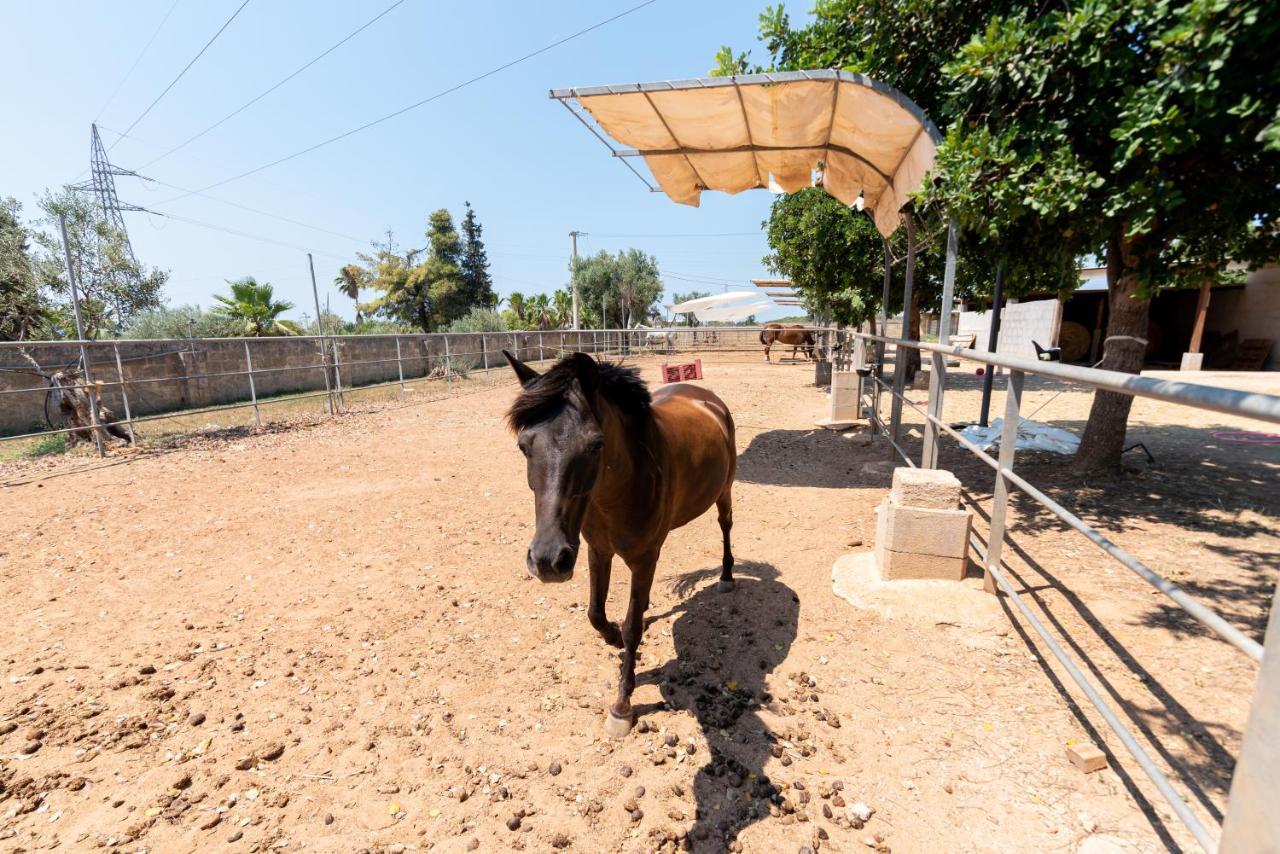 B&B Tenuta Barone Gallipoli Zewnętrze zdjęcie